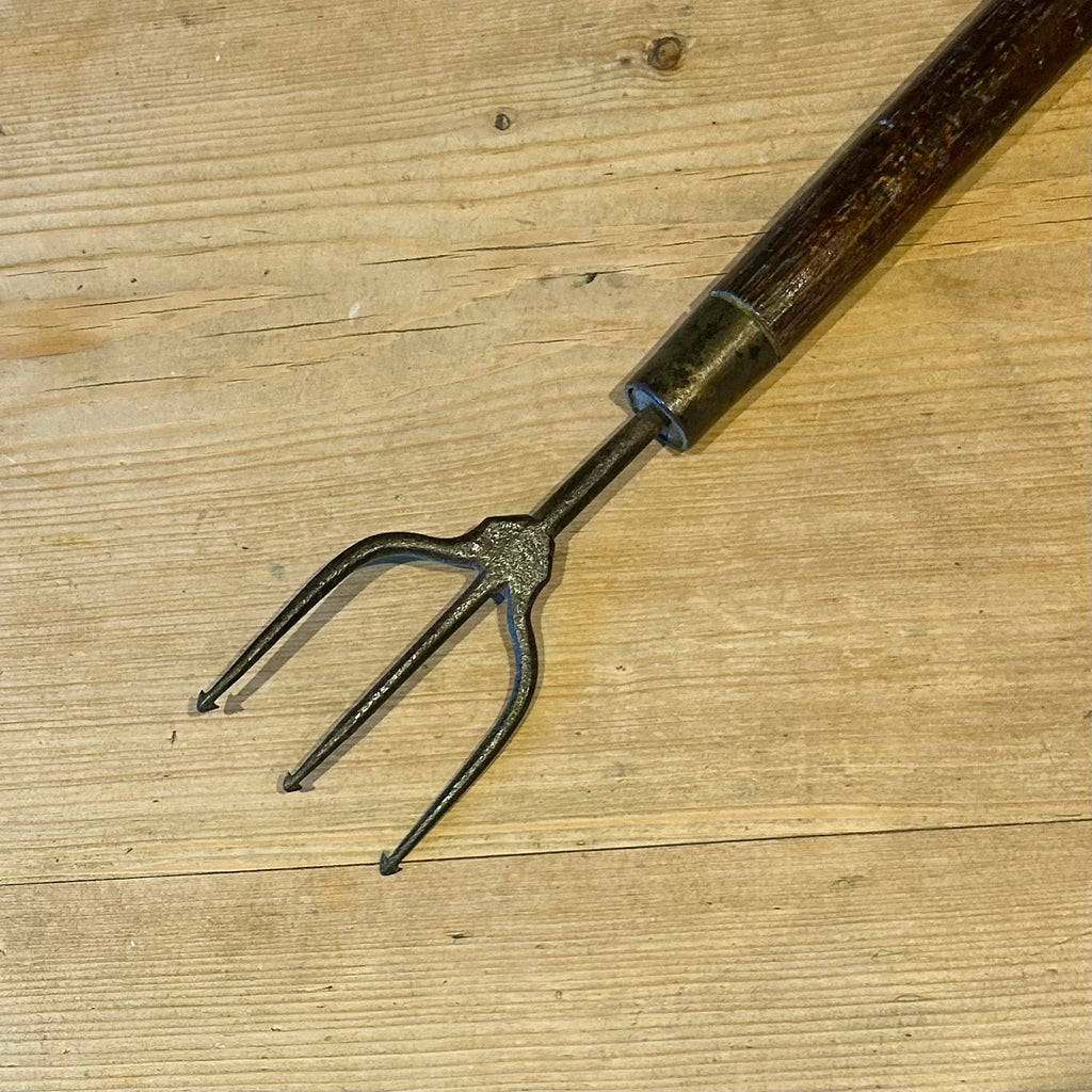 Early 20th-century Fishing Trident